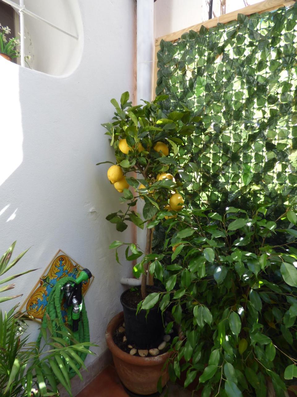 Casa Sicana Apartamento